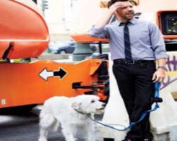 The actor loves to have a walk with his dog. 